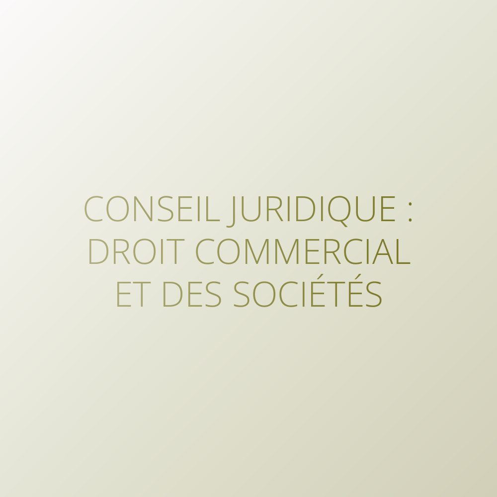 Problem solving – Legal advisoring. Droit commercial et droit des sociétés